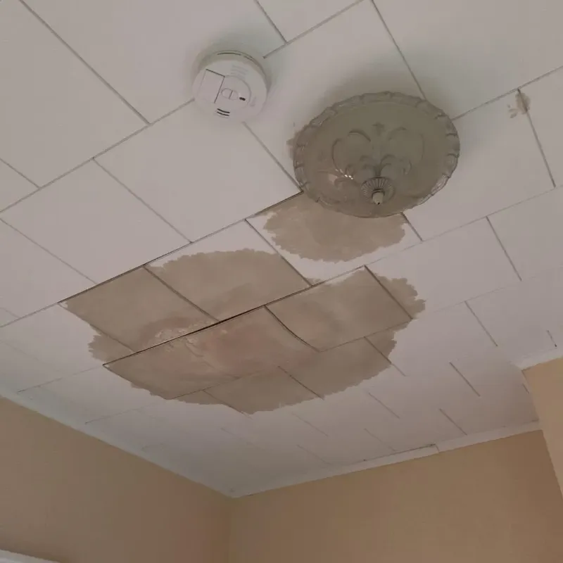 Ceiling Water Damage Repair in Elwood, IL