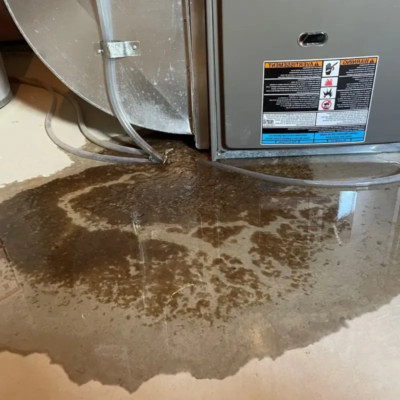 Pipe Burst and Leak Restoration in Elwood, IL