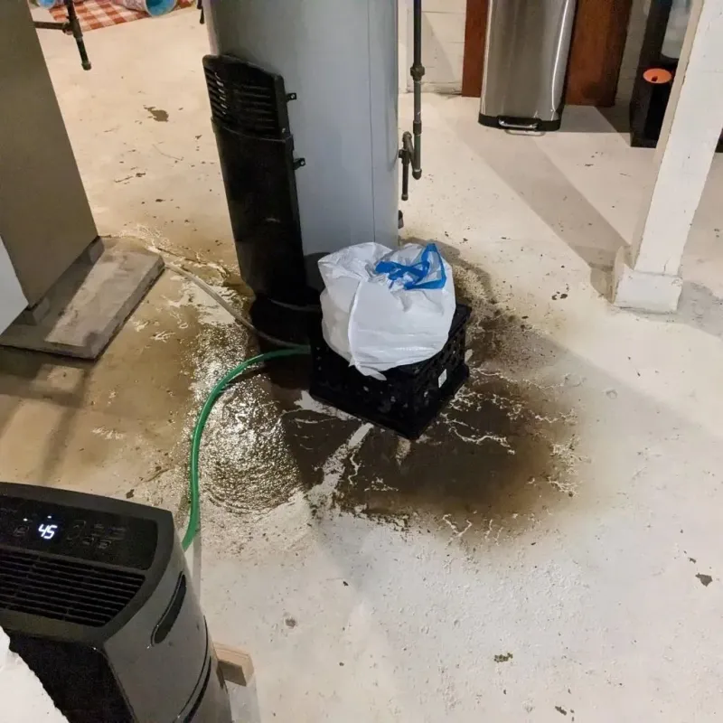 Sewage Backup Cleanup Service in Elwood, IL